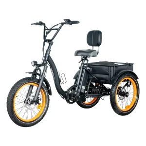 Adults 500w 750W Electric Tricycle Electric PAS Folding Electric Cargo Bike Long Range E cargo for Delivery