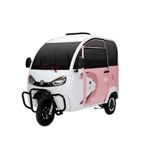 Adults E Trike 3 Wheel Cargo Bike Passenger Motorcycle