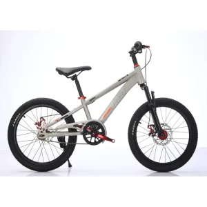 Aesthetic Internal Cable Mountain Bike 20 Inch Argon Arc Welding High Carbon Steel Kid MTB Performance Bearing Hub Youth Bicycle