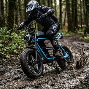All Terrain 7 Speed Fat Bike Electric with LCD Screen Powerful Fat Tire E bike for Sand and Mud Tracks