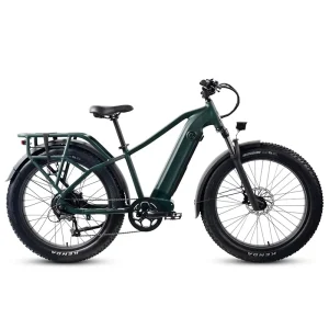All Terrain Fat E Bike in US 750W 20Ah Super Power Electric Bicycle Direct Manufacturer OEM Bicycle