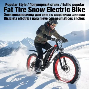 All-Terrain Fat Tire EMTB Hunting Electric Bike with Rear Rack Perfect for Canadian Outdoors & Snow