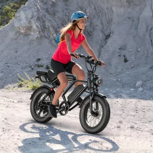 All Terrain Fat Tire Electric Bike with Front Rear Suspension Professional Snow Beach Mountain Off Road E-bike