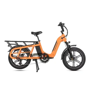 All Terrain Fatbike 20*3.0 Tires Suspension Fork 48V15Ah Battery Hydraulic Brakes Electric Cargo Bicycle