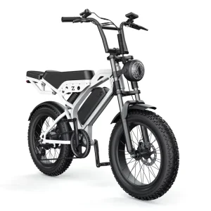 All Terrain Retro Fat Tire Ebike 1000W 48V Full Suspension Electric Bicycle Adult Off road Scrambler Bike with Headlight