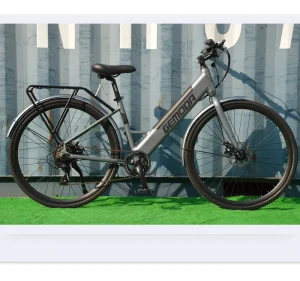 Alloy Electric Bicycle E Bike with Alloy Rims 26inch with Lithium Battery