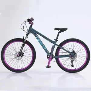 Alloy Mountain Bike Bicycle Factory MTB 29 Inch Mountain Bikes