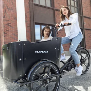 Alloy Rim Dutch Electric Cargo Bike Front Wood Box 36V Voltage Rear Carrier Full Loading Capacity Europe Stock Delivery Bike