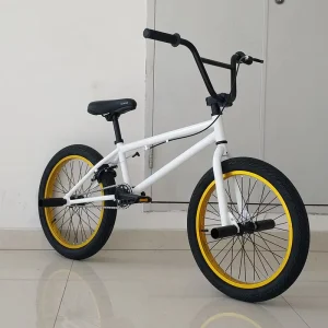 Alloy Rim Mini BMX Bike, 20 Inch, Steel Frame, Freestyle Street