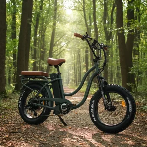Aluminum Alloy 20 Inch 7-Speed 15AH Electric Fat Beach Cruiser Ebike