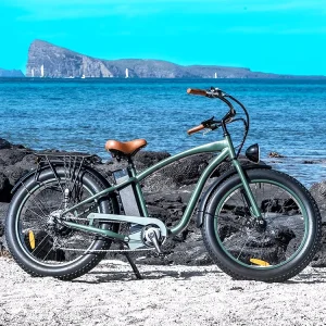 Aluminum Alloy Fat Electric CityBicycle Beach Cruiser Big Tires Mountain E-Bike 48V 750W Electric Bike Fat Tire for Adults