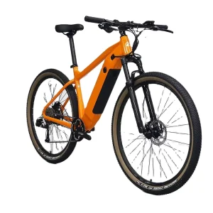 Aluminum Alloy Frame Electric Bicycle 10 Speed Electric Gravel Bike City E bike