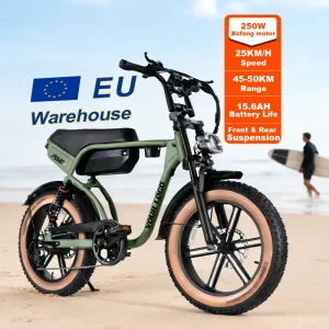 Aluminum Alloy Hydraulic Brake Fat Tire Electric Mountain City Bike 20 Inch 48V 250W Lithium Battery Double Suspension