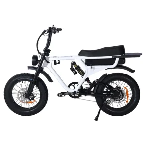 Australia 48v 750w 1000W Emtb Retro E Bike Electric Cycle Road Dirt Fat Tire Ebike Electric Mountain Bike Elektrische Fiets
