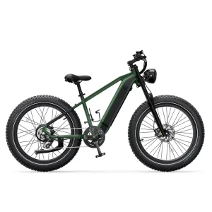 Australia 750w Retro Electric Fat Tire Bike 100km Range Emtb Electric Mountain Bike Para Adulto