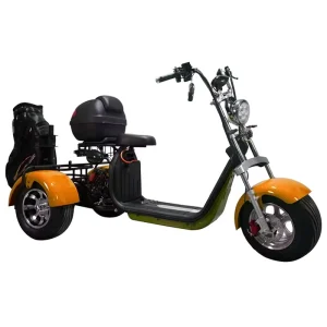 Australia Market Golf Use 3 Wheel Electric Golf Cart Tricycle Fat Tire GPS Foldable Waterproof Long Range Citycoco Scooter