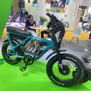 BAOGL Electric Bike 20inch Fat Tire Electric Bicycle E Bikes 48 Volt 500 Watt