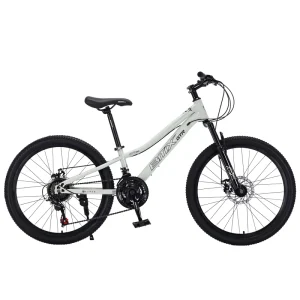 BMX Aluminum Alloy 29 Inch 21 Speed Mountain Bike Steel Frame Front Suspension Dual Disc Brakes Lightweight Unisex Adults
