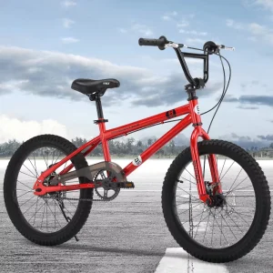 BMX Bike Freestyle for Children Bike Youth and Beginners Level to Advanced Adult Riders 20 Inch