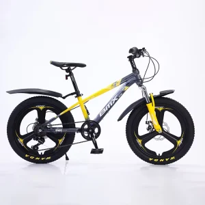 BMX Custom logo Fashion Purple Kids Adult Bicycle 20 Inch Freestyle Flatland Stunt Bike