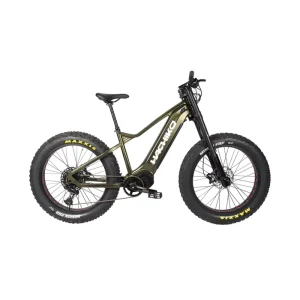 Bafang Strong 1000w Mid Motor Ebike Electric Fat Tire Mountain Bike for Adults Electrical Bike for Men