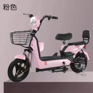 Battery E Bikes Mountain Electric Fat Tire Bike Electric