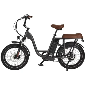 Beach Cruiser Electric Bike for 2 Person