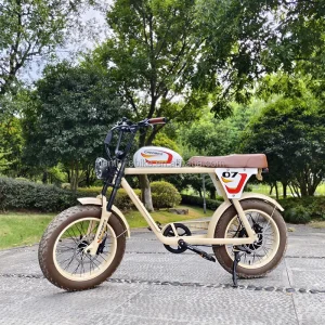 Beach Cruiser Front 500W Rear Motor High Speed Electric Fat Tire Bike Motorcycle Style Ebike