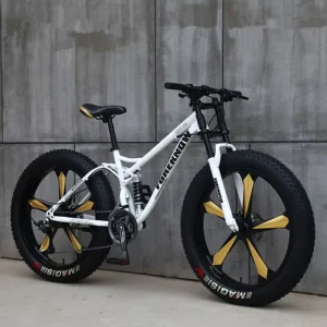 Beach Fat Bike Fat Tire Snow Bicycle Big Tire 26*4.0 Mountain Cycle