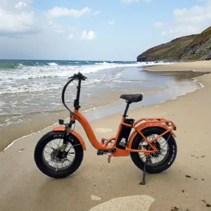 Best Performance Supplier Beach Cruiser 20inch Foldable E-Bike for Adult