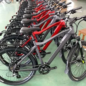 Bicicleta Electrica Electric Bike Electric Motorcycle Bike for Men