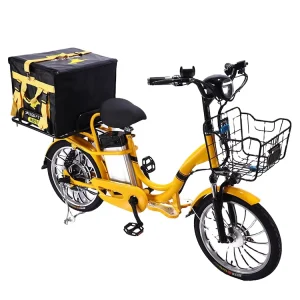 Bicycle 1500w Cargo Bike for Adults Two Wheels Bike for Delivery