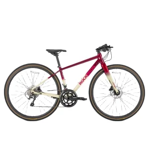 Bicycle 20 Speed 700C Aluminium Road Bike with Full Hydraulic Disc
