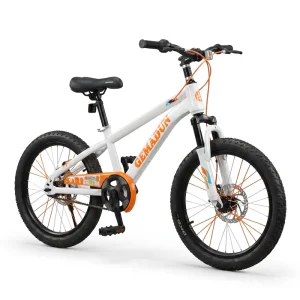 Bicycle Single Speed Bicycle 16 18 20 22 Inch Men’s Sport Bicycles for Teenagers