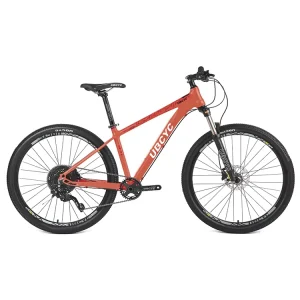 Bicycle Supplier 27.5 Inch MTB Men 21 Speed Mountain Bike with Disc Brake Adult 27.5 Size Mountainbike