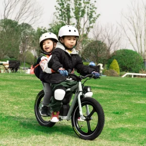 Bicycle Two Wheel Electric Scooter Disc Brake Electric Dirt Bike E-bikes for Kids Ages 3-12