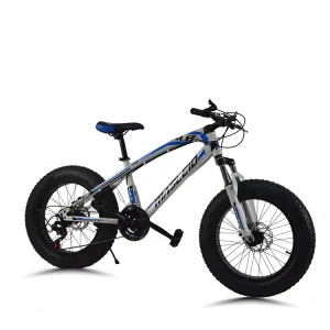 Bicycles Fat Tire Bike double Disc Brake 26 Inch Adult Bicycle Snow Beach Bike Cycles Adult Bicycle