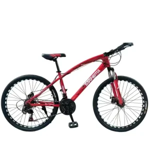 Bicycles for Adults Bicycle for Men 26 Inch 21 Speed Bicicletas 29 MTB Bike Mountainbike Cycle for Women