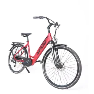 Bicystar Electric Bike Direct Shipping Foldable 250W Hybrid Electric Bicycle Lithium Battery Power Supply