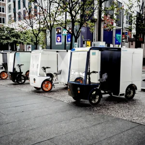 Big Cargo Bike Four Wheels Quad Bike Cargo 500W Long Range 4 Wheels Cargo Delivery Electric Bike