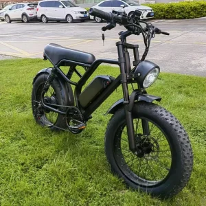 Big Power 1200w 48v 20inch Fat Tire Electric Bikes Electric Mountain E Bike for Adults