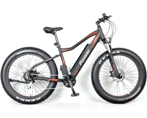 Big Power Electric Fat Bike Fat Tire Electric Bicycle for Sale Electric Bike Frame Battery