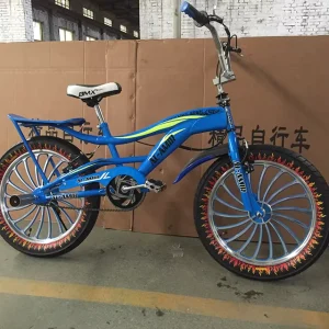 Big Ripper Bike 20 Inch BMX Bike Bicycle