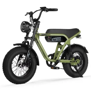 Blaze OEM Supplier 16 Inch Kids Winter Full Suspension Fatbike Electric Bike
