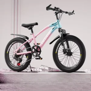 Boy’s Bike 20 Inch Middle School Primary School Variable Speed Mountain Bike Children’s Bike