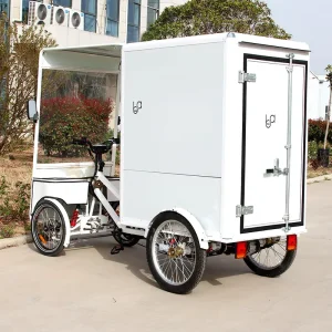 Brand New Electric Bike 4 Wheel for Adults Commercial Cargo Bike Four Wheel Cargo Bicycle for Sale