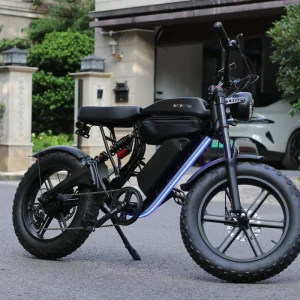 Brushless 750w Motor Full Suspension City Bike