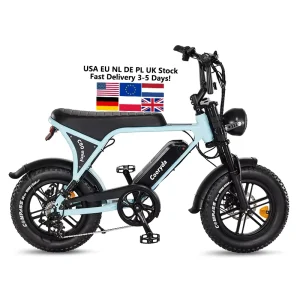 C80 Mini Electric Mountain Fatbike Electric E Bike Mini Aluminum Alloy Frame 16 Inch Fat Tire EBike