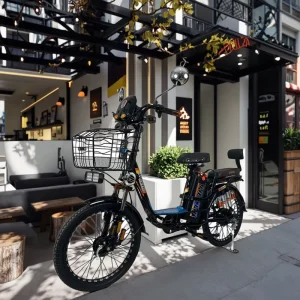 CAICHI Factory Sale 48V 350W Electric City Bike Long Range Motor Urban Style City Bicycle