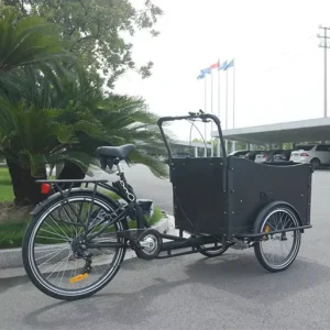 CE Danish Bakfiets Family Pedal Assist 3 Wheel Electric Cargo Adult Tricycle UB9019